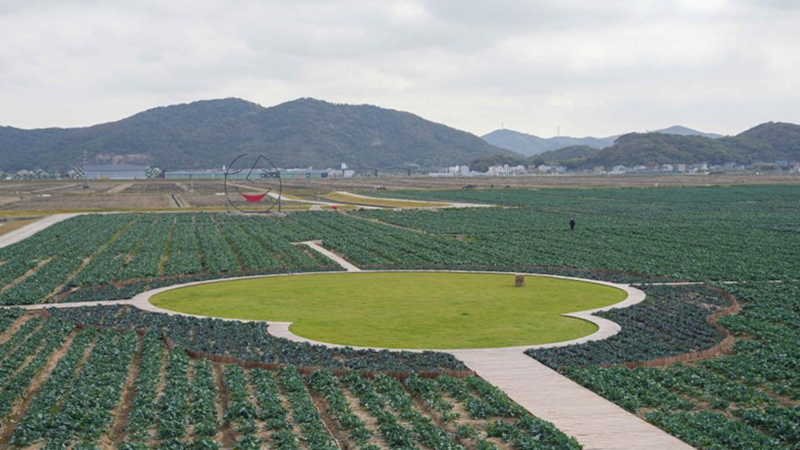 浙農(nóng)科技岱山運(yùn)營(yíng)項(xiàng)目獲人民日?qǐng)?bào)、新華社、央視等主流媒體關(guān)注